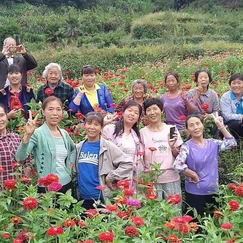 坑口山赏花
