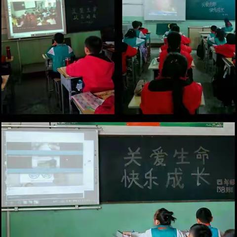 关爱生命·快乐成长――康城小学生命安全教育活动