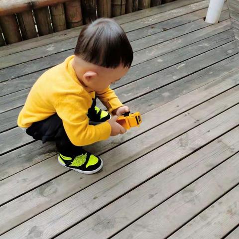 幸福梅林