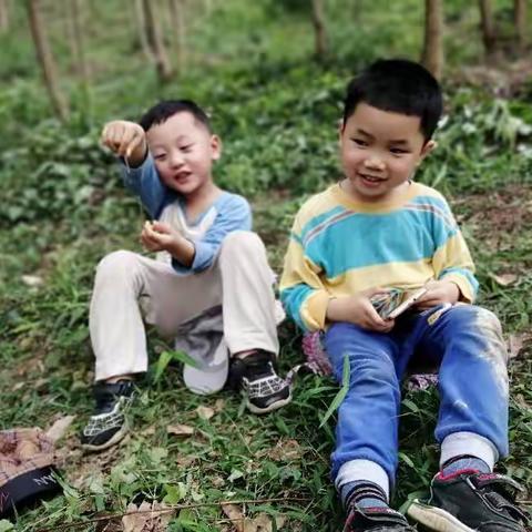 2020年上半年的快乐时光