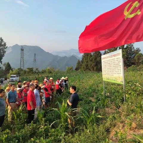 瓦滩村党支部赴山坪大豆种植基地开展主题党日活动