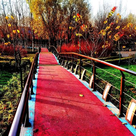 观展感言（二）介休市学习“千万工程”经验 礼赞新时代“保利达“杯摄影展览暨介休市第六届摄影艺术展