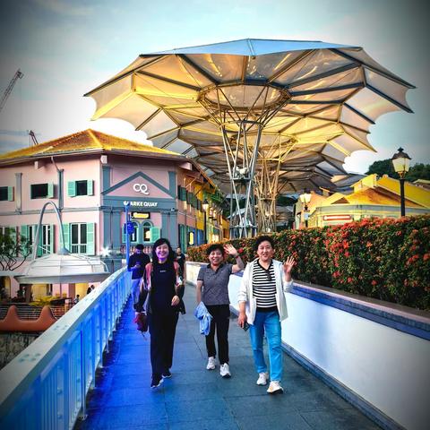 祝你们旅行愉快 新加坡一日游