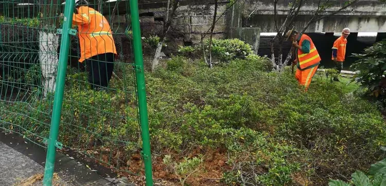 园林绿化养护的价格