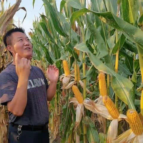 信誉比金钱更重要〔嘉杰〕的美篇