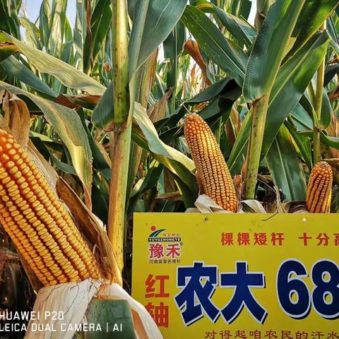 信誉比金钱更重要〔嘉杰〕的美篇