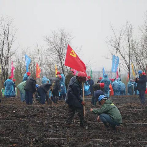 中煤公司开展党史学习教育主题实践党日活动