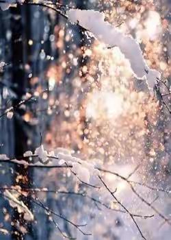 一片痴意玉壶中