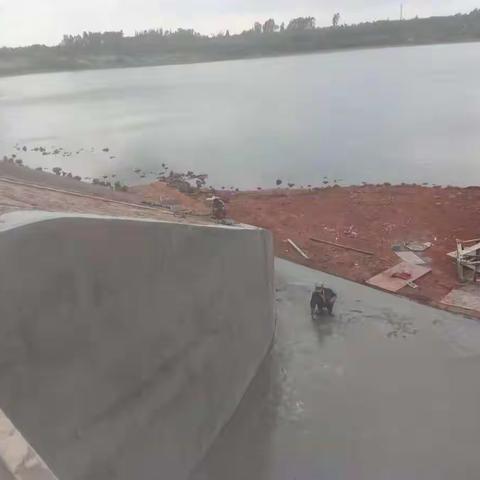 【永兴镇】永兴镇河湖长制巡查动态