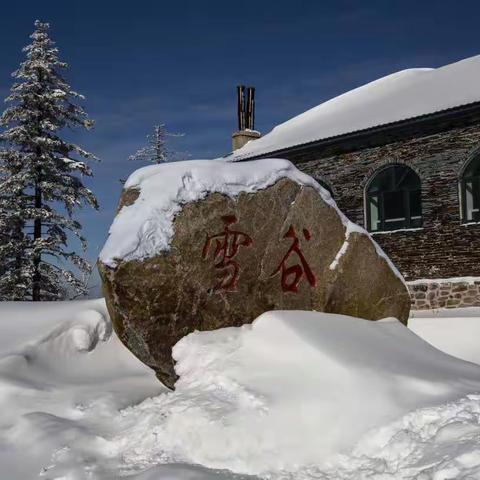 亚雪公路、二 浪河采风