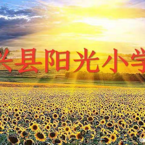 践行“五点四环节” 推动“双减”落地 —— 阳光小学校本教研活动（十）