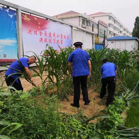 炎炎夏日里，默默城管人！