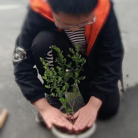 献给三月植树节-良朋小学植树节活动