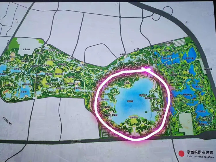 二零二零年三月二十九号龙泉湖湿地公园西良乡生态采摘园一日游