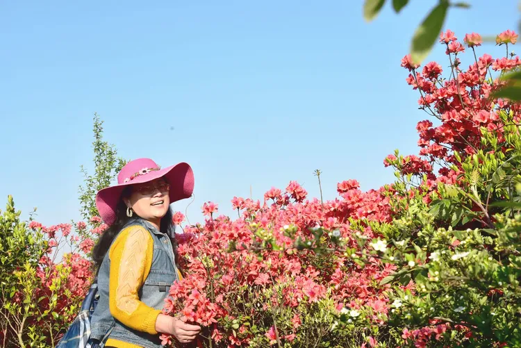 最美四月山花开