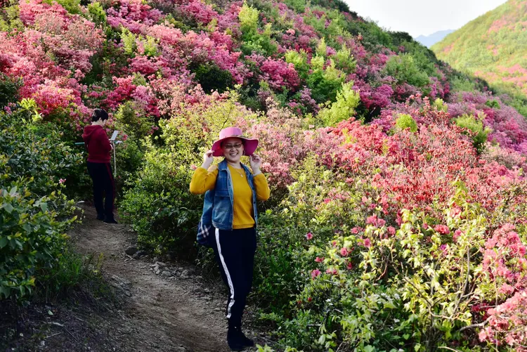 最美四月山花开