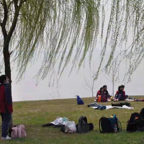 泗阳中学高二年级保护成子湖志愿服务活动