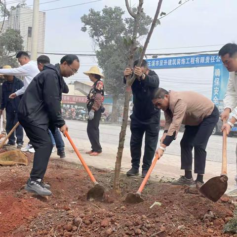 大营街街道为民办实事为绿美城乡建设持续发力