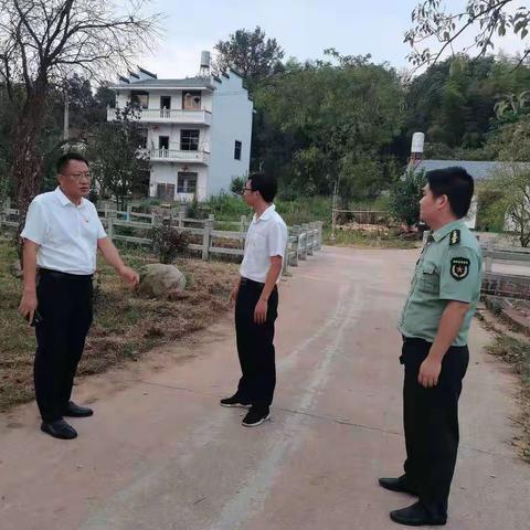 圭峰镇全力推动巩固拓展脱贫攻坚成果同乡村振兴有效衔接