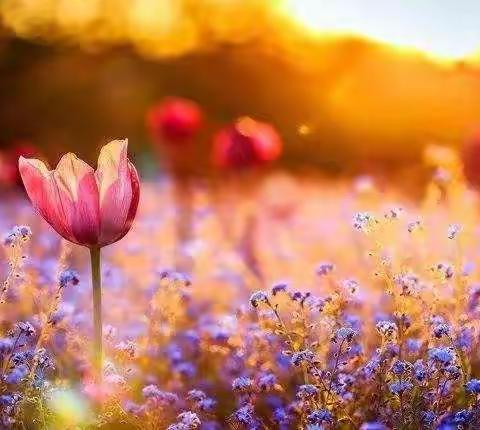 五一班优秀作文(一)