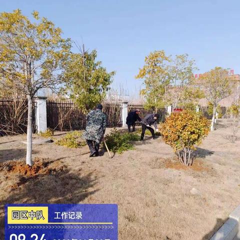 奉新县高新技术产业园区管委会环境卫生综合整治