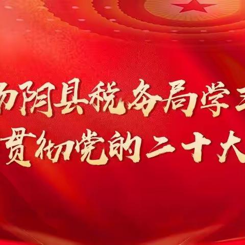 踔厉奋发启新程 勇毅前行向未来——汤阴县税务局深入学习贯彻党的二十大精神