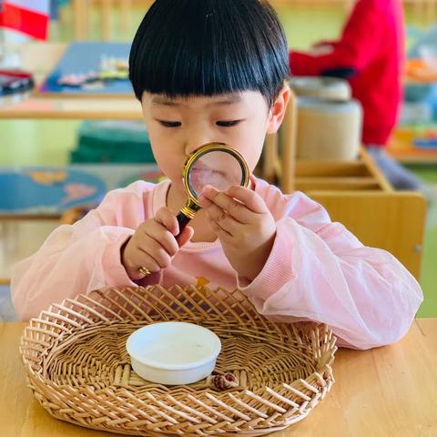 金阳万田幼儿园观察记录——（11）鲍婳祎