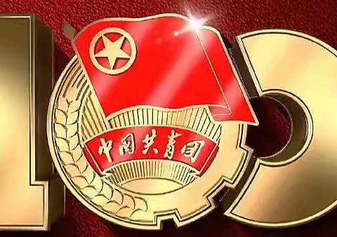 “致敬峥嵘岁月 献礼建团百年”——大五家子学校纪念中国共产主义青年团成立100周年主题团日活动