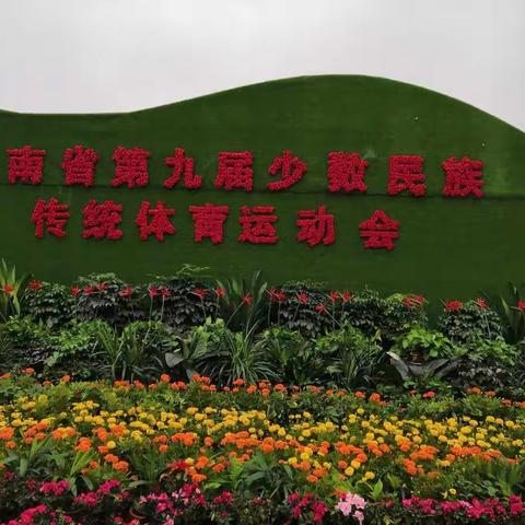 纪念湖南省第九届少数民族传统体育运动会