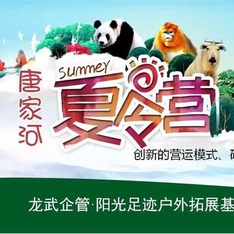 唐家河十天九夜夏令营