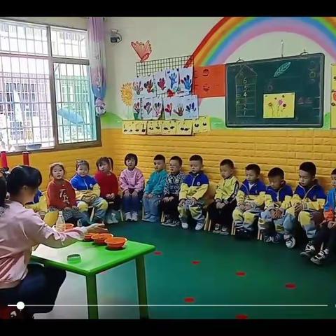 大自然幼儿园中班科学实践活动《种豆芽》