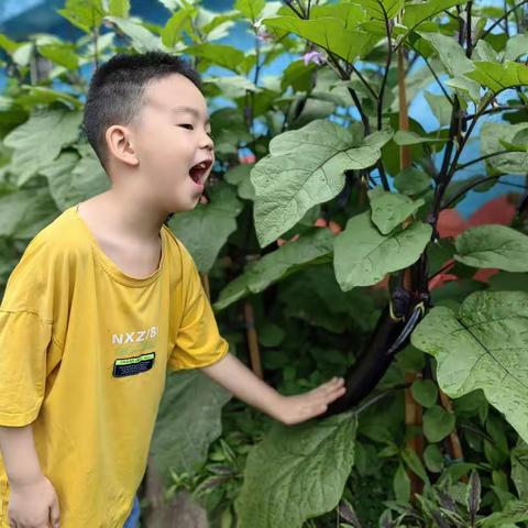 大自然幼儿园预定学位啦❤