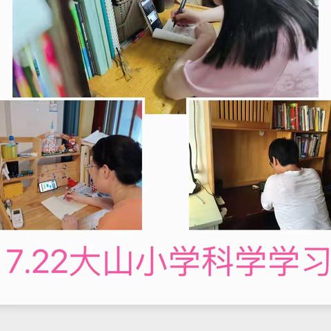 【坪上镇大山小学】携手科技名师，赋能科学教育”----小学科学教师专业素养线上培训