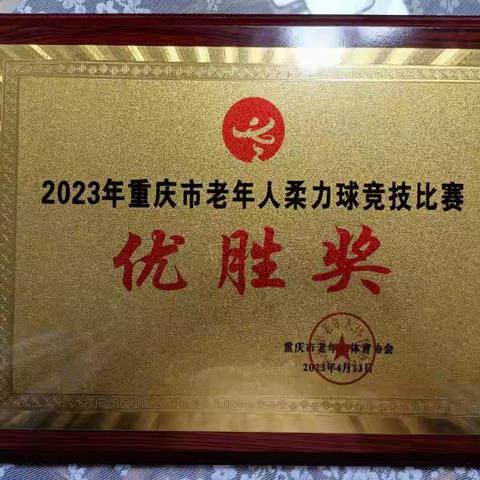 2023年重庆市老年人柔力球(竞技)比赛