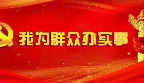 天岳街道潘洪村党支部“我为群众办实事”系列主题党日活动