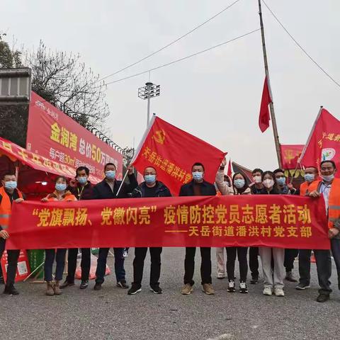 潘洪村党支部“党旗飘扬、党徽闪亮”疫情防控党员志愿服务先锋行动