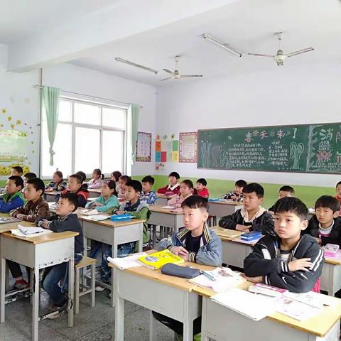 李怀小学防震演练