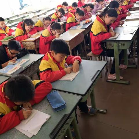 青狮中心小学校课后服务之趣味作文班