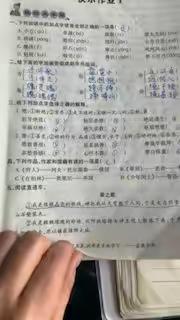王博玉的作业