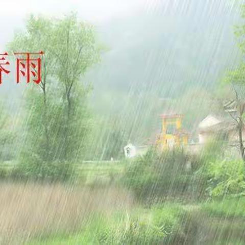 春雨