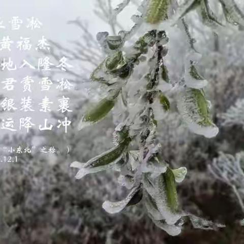 11位诗友联手同唱乐业雪凇（雾凇）景观