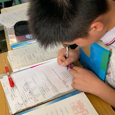 课后服务紧抓知识