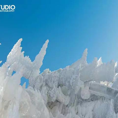 大雷山顶的美丽雾松