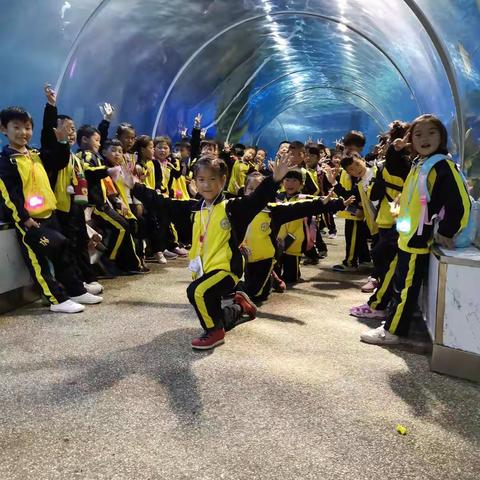 最美三月 最美足迹                                         ——记开封海洋极地世界研学旅行