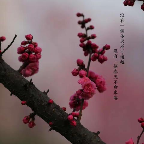 思政体艺“云”延续，家校共同战役情--合漳乡中心校特殊时期进行“四个一”思政体艺工作