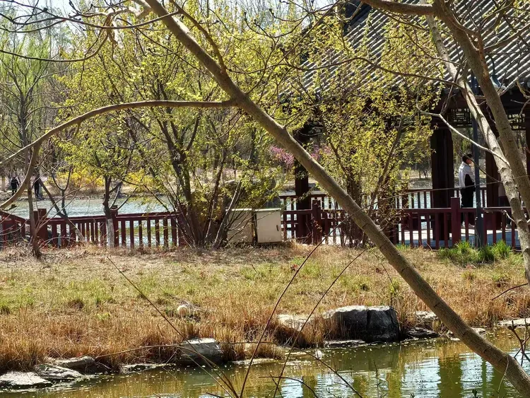 津北森林公园之春