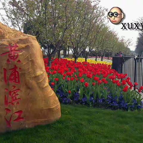 世博滨江，色满南园