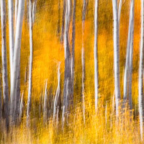 科罗拉多州的秋天