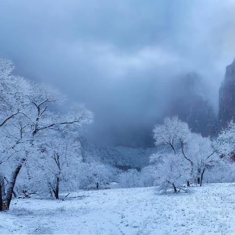 锡安国家公园的冬雪