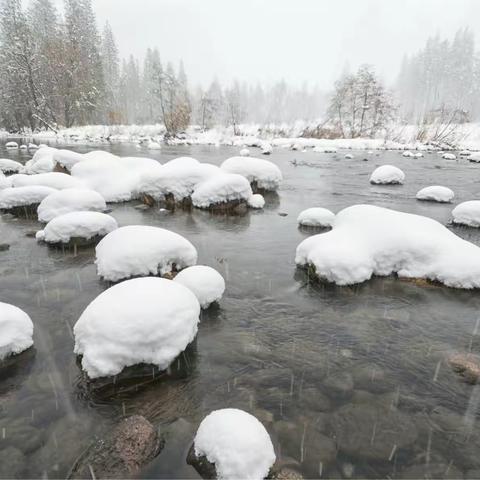 Yosemite 下雪了